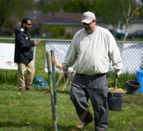 Planting